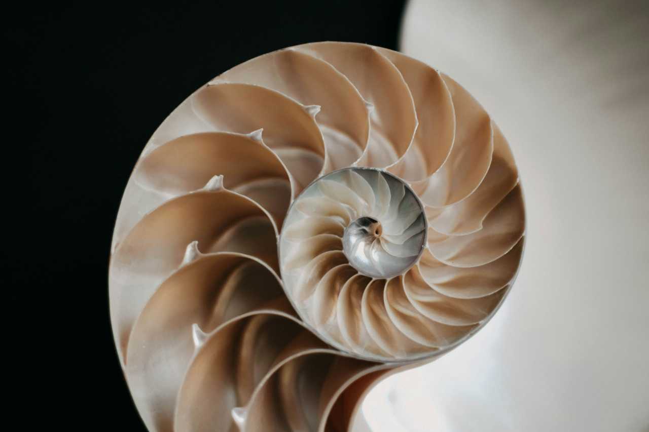 The Role of Sacred Geometry in Spirituality: A Divine Dance of Numbers and Spirit